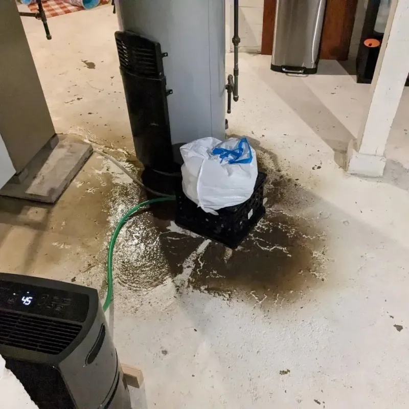 Sewage Backup Cleanup Service in Elmore County, AL